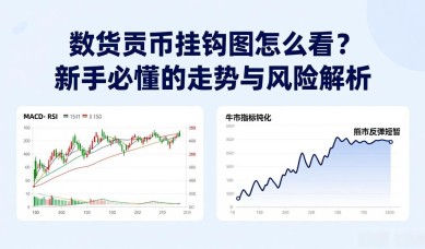 数字货币挂钩图怎么看？新手必懂的走势与风险解析